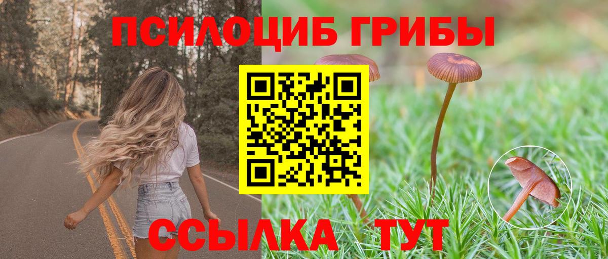 Псилоцибиновые грибы Psilocybine cubensis Тавда